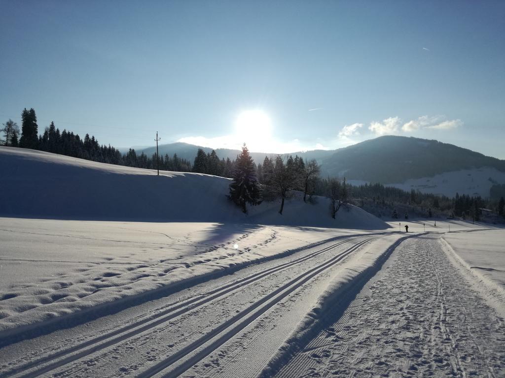Appartements Oberhauser Westendorf Zewnętrze zdjęcie