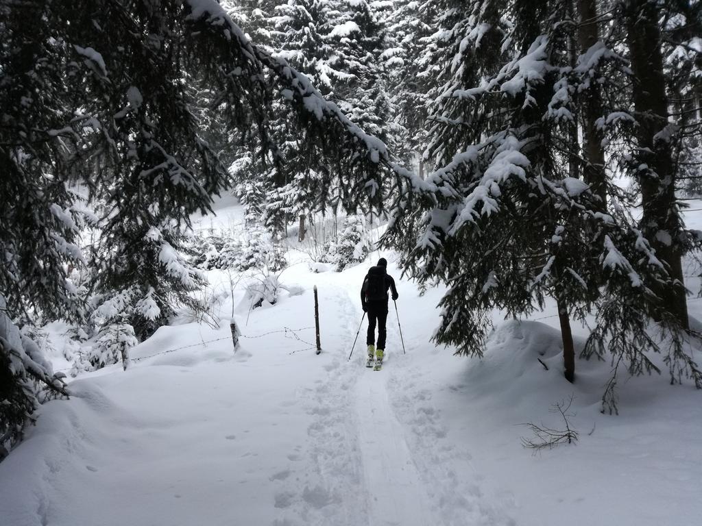 Appartements Oberhauser Westendorf Zewnętrze zdjęcie