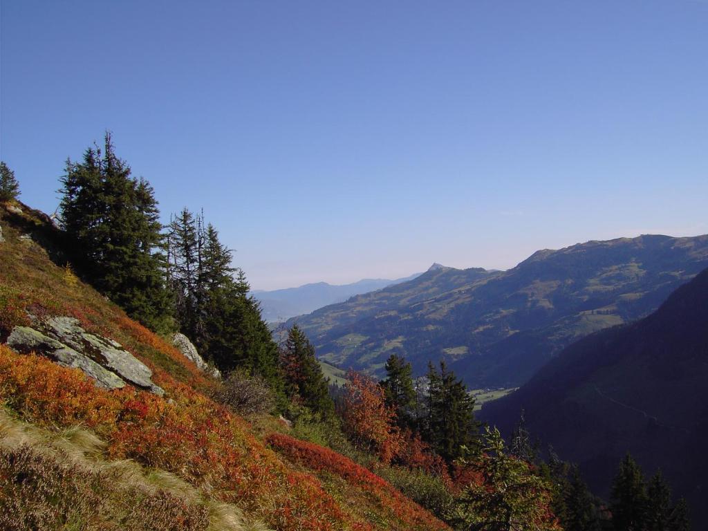 Appartements Oberhauser Westendorf Zewnętrze zdjęcie