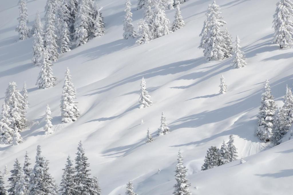 Appartements Oberhauser Westendorf Zewnętrze zdjęcie