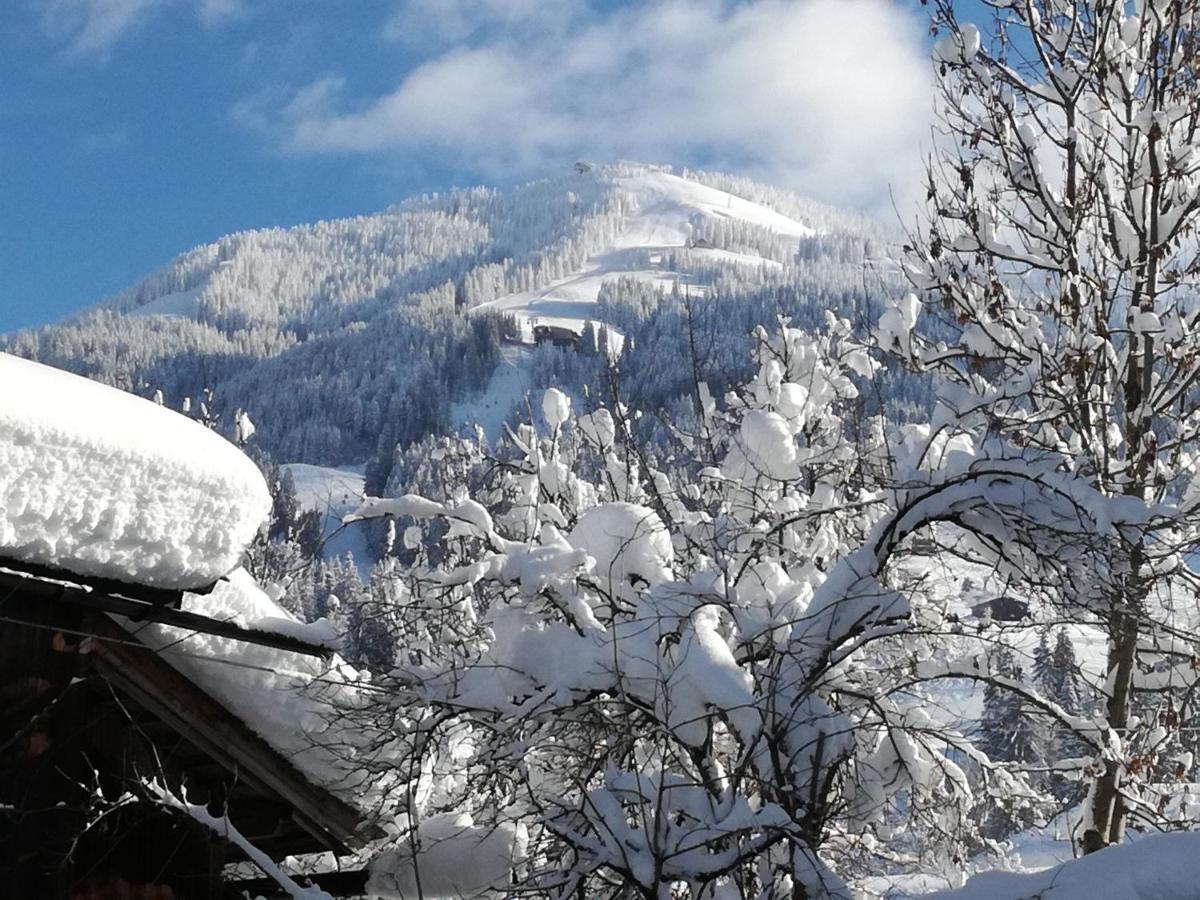 Appartements Oberhauser Westendorf Zewnętrze zdjęcie